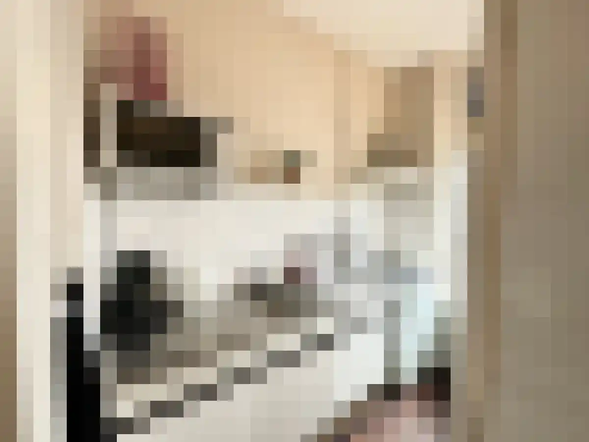 Abdijlaan 153 Uden thumbnail 6