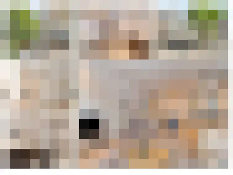 Abdijlaan 156 B Uden thumbnail 4