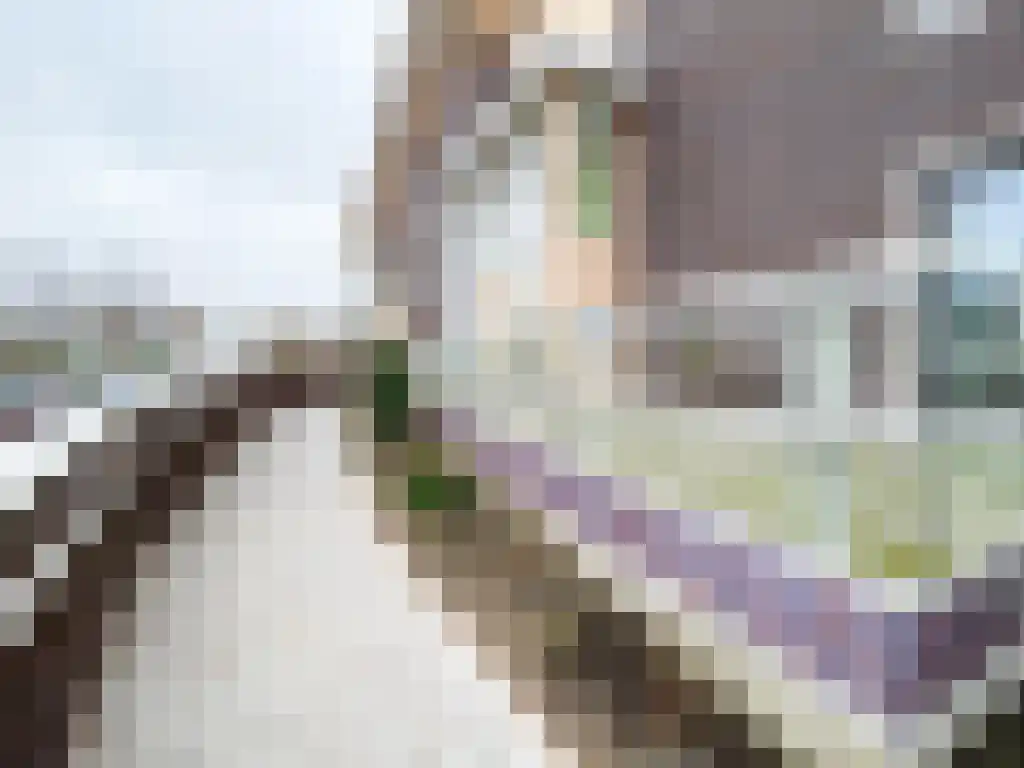 Abdijlaan 156 Uden thumbnail 6