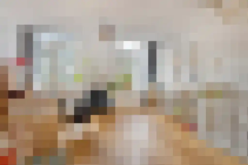 Abdijlaan 16 B Uden thumbnail 5