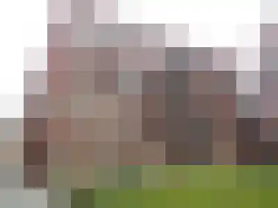 Abdijlaan 16 D Uden thumbnail 20