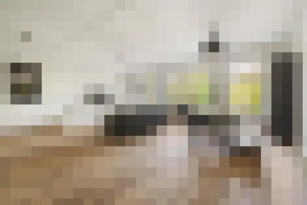 Abdijlaan 16 F Uden thumbnail 8
