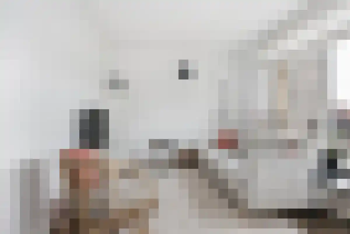 Abdijlaan 16 Uden foto 2