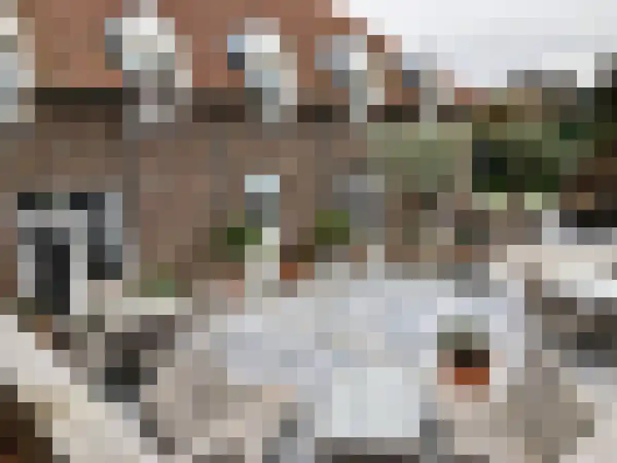 Abdijlaan 16 Uden thumbnail 4