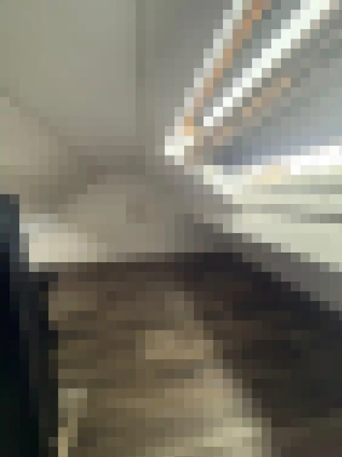 Abdijlaan 16 Uden thumbnail 4