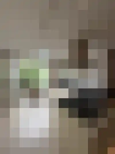 Abdijlaan 16 Uden thumbnail 57