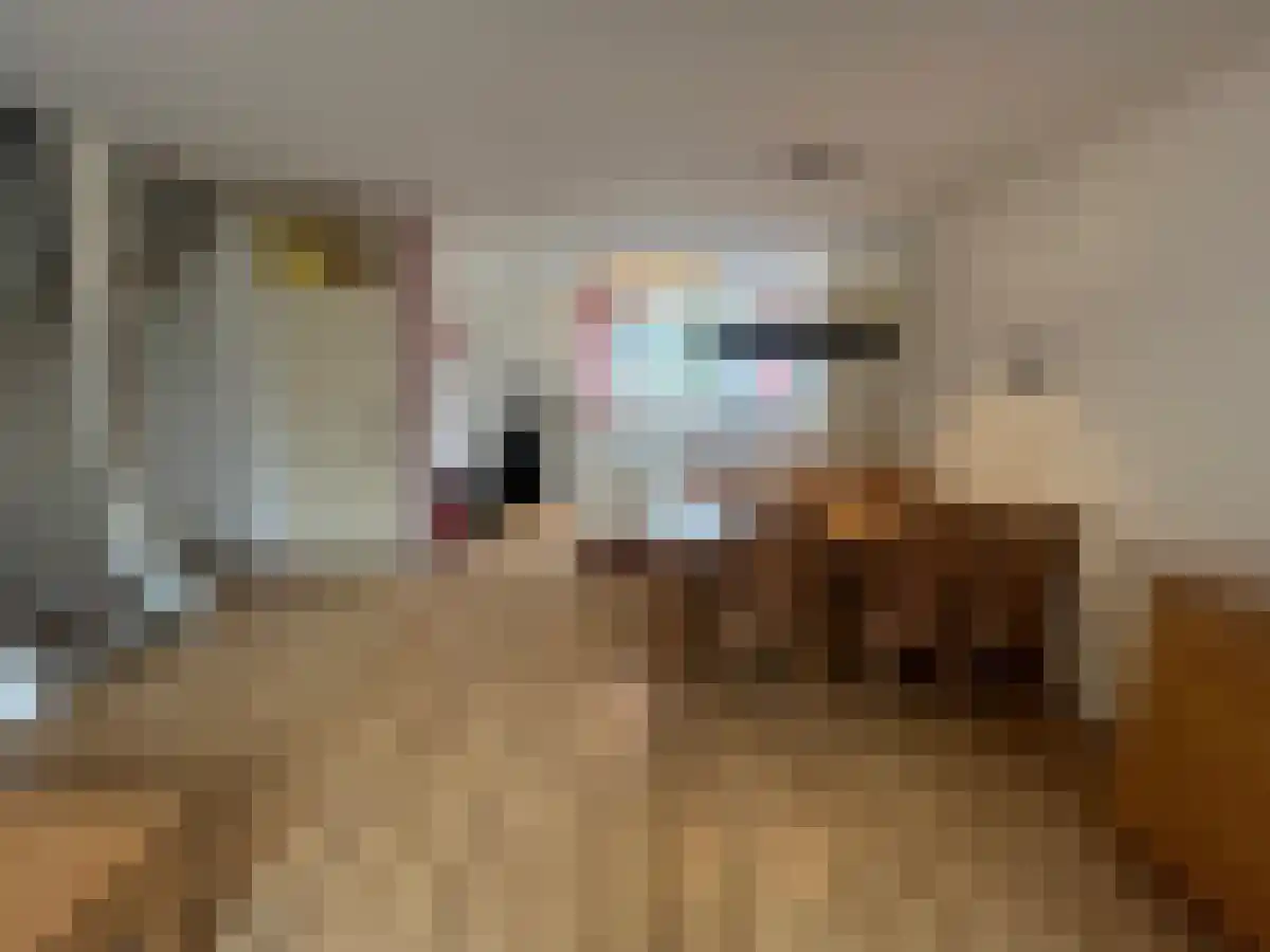 Abdijlaan 160 Uden thumbnail 4