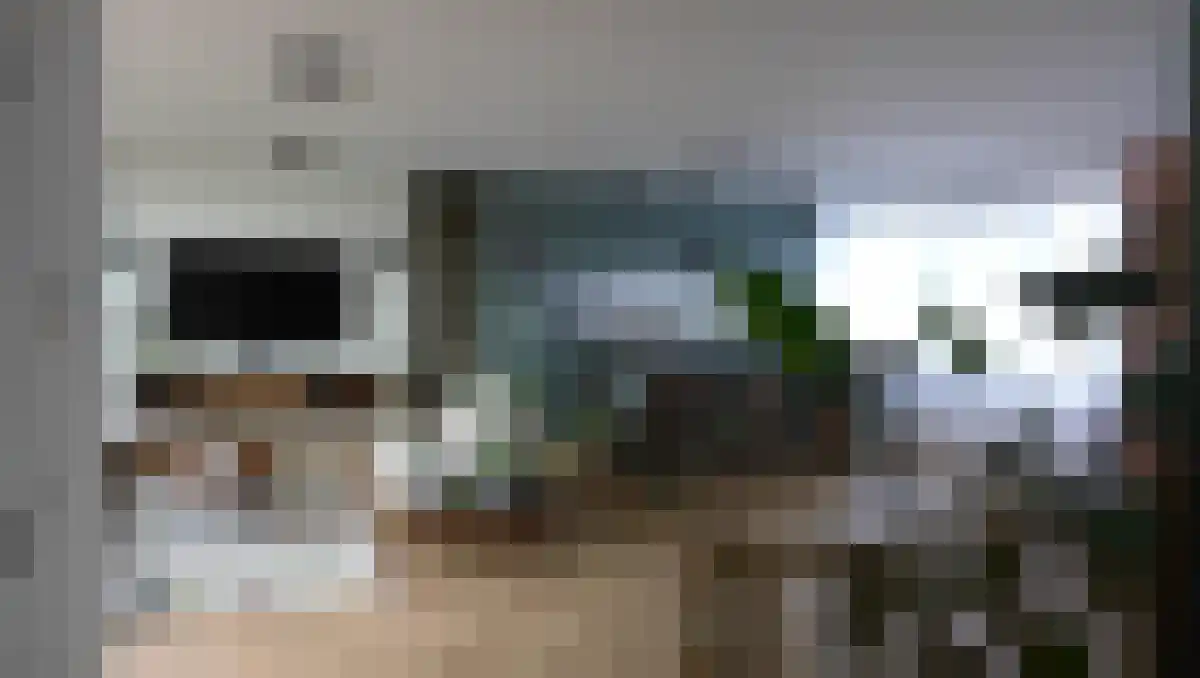 Abdijlaan 165 Uden thumbnail 5