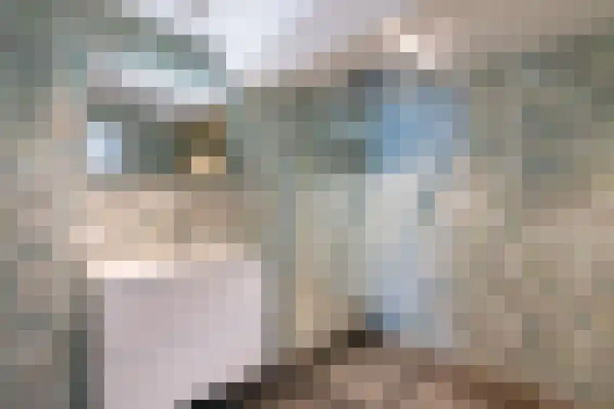 Abdijlaan 169 Uden thumbnail 4