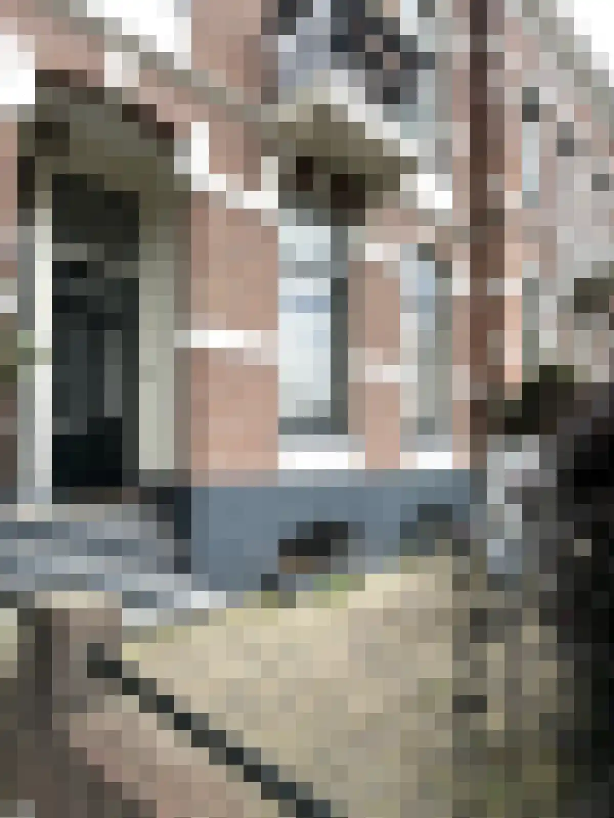 Abdijlaan 17 Uden foto 2
