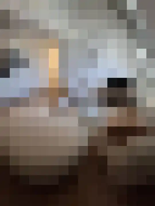 Abdijlaan 17 Uden thumbnail 4