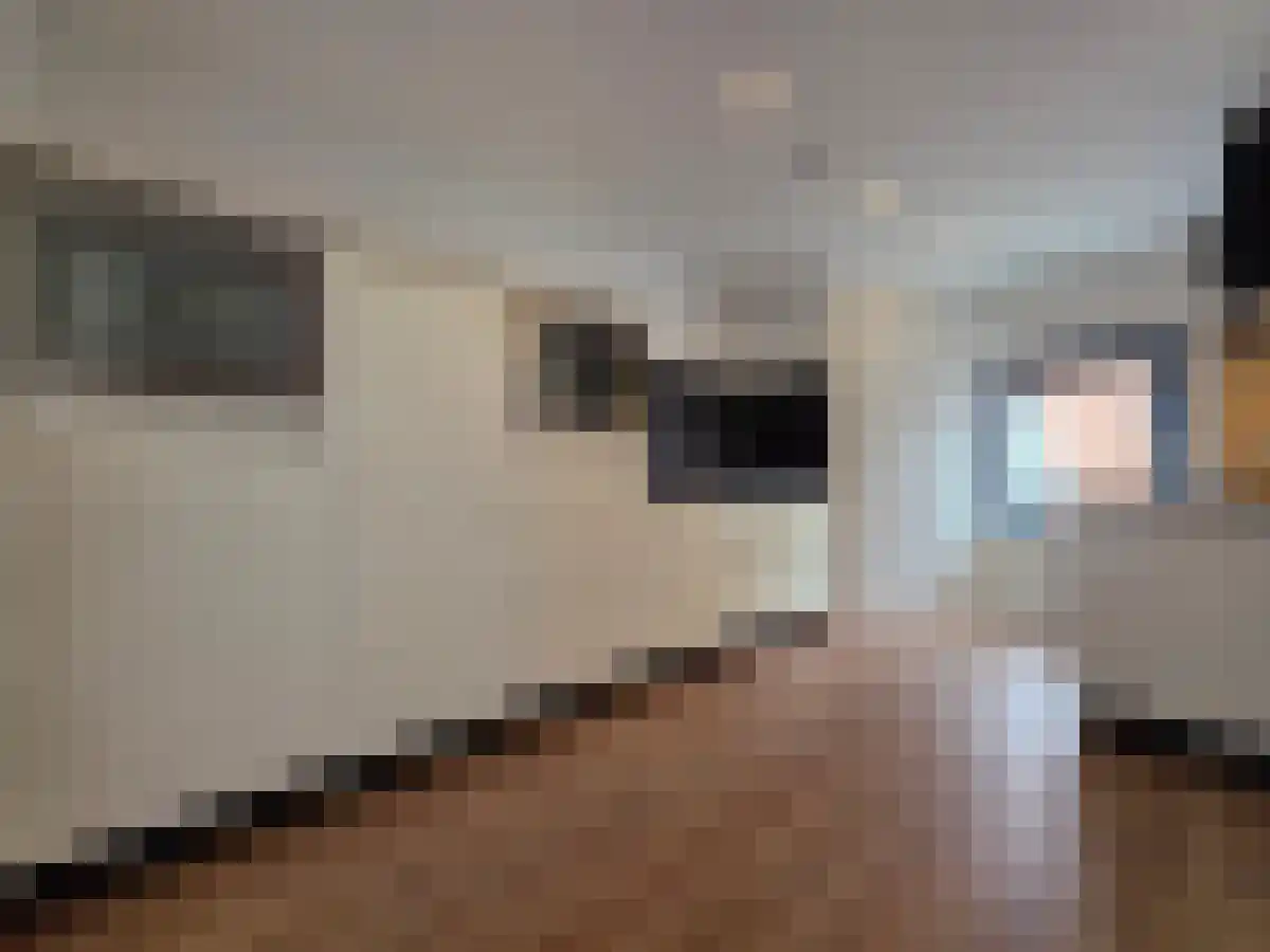 Abdijlaan 17 Uden thumbnail 5