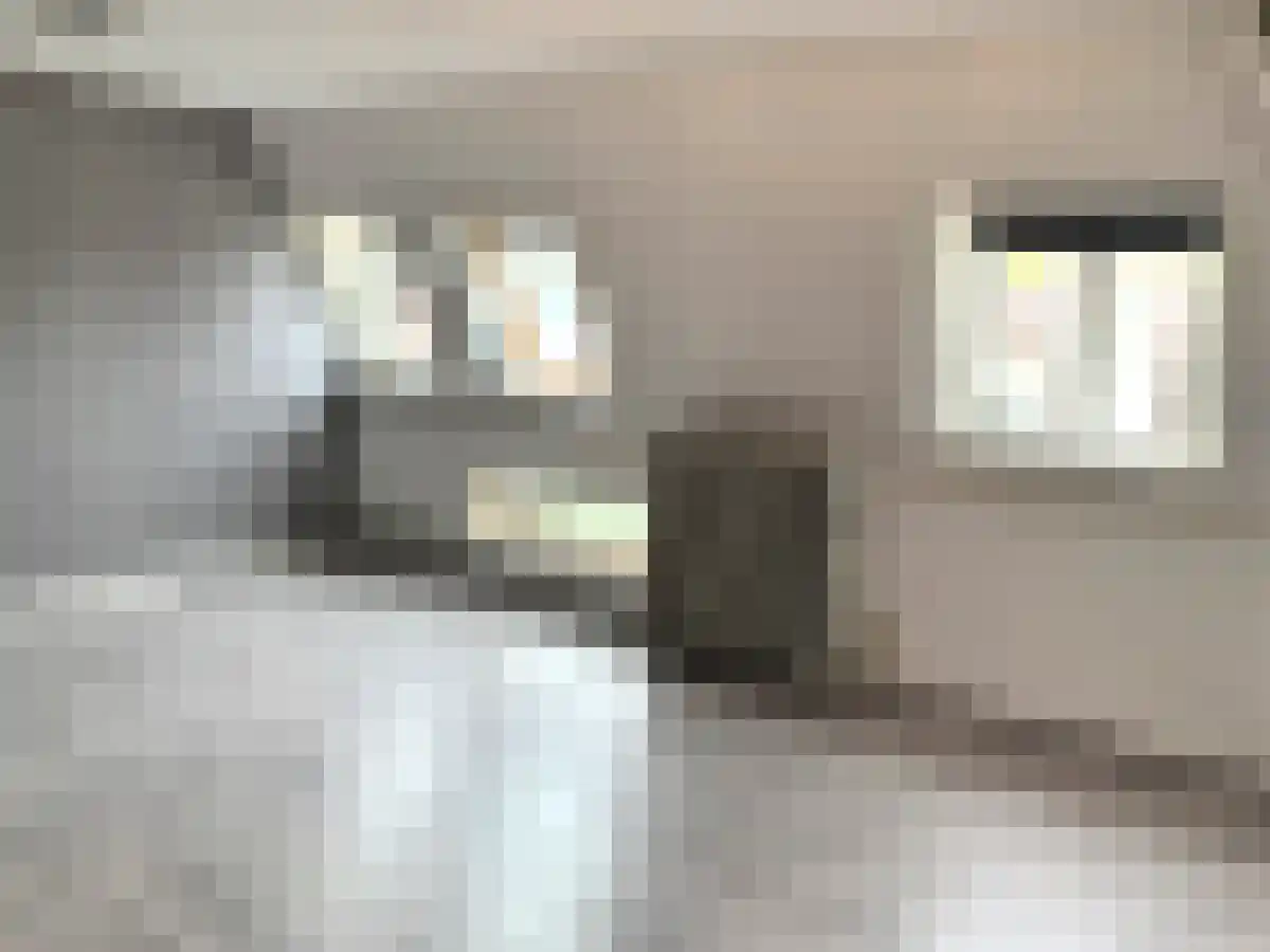 Abdijlaan 17 Uden thumbnail 5