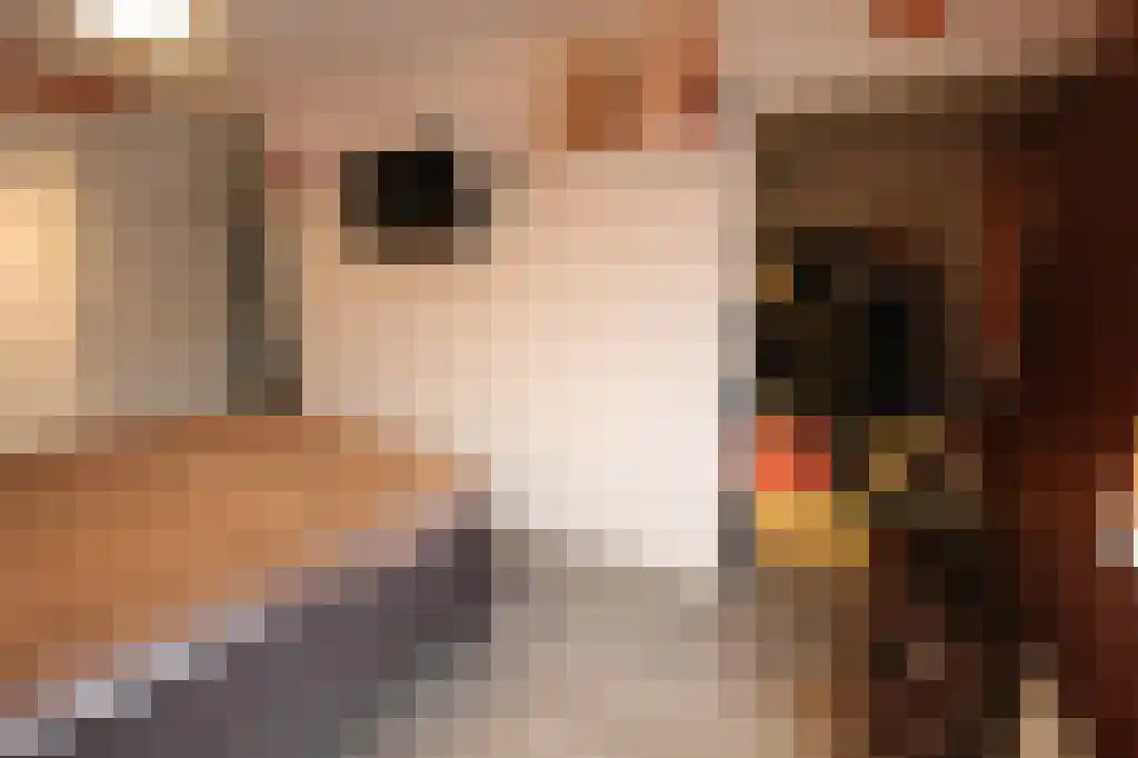 Abdijlaan 17 Uden thumbnail 6