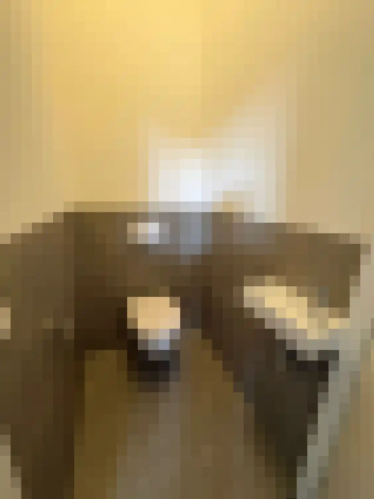 Abdijlaan 17 Uden thumbnail 6