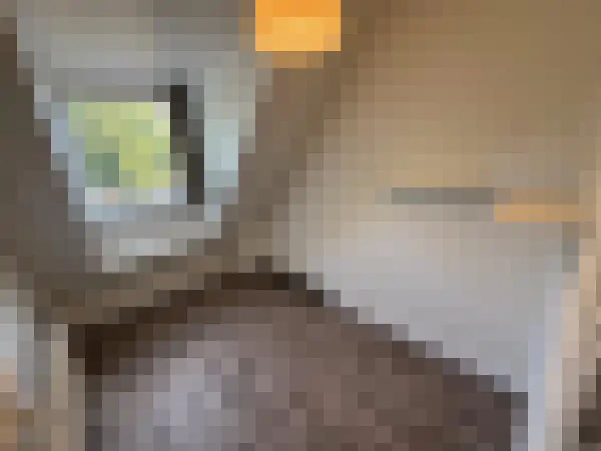 Abdijlaan 17 Uden thumbnail 6