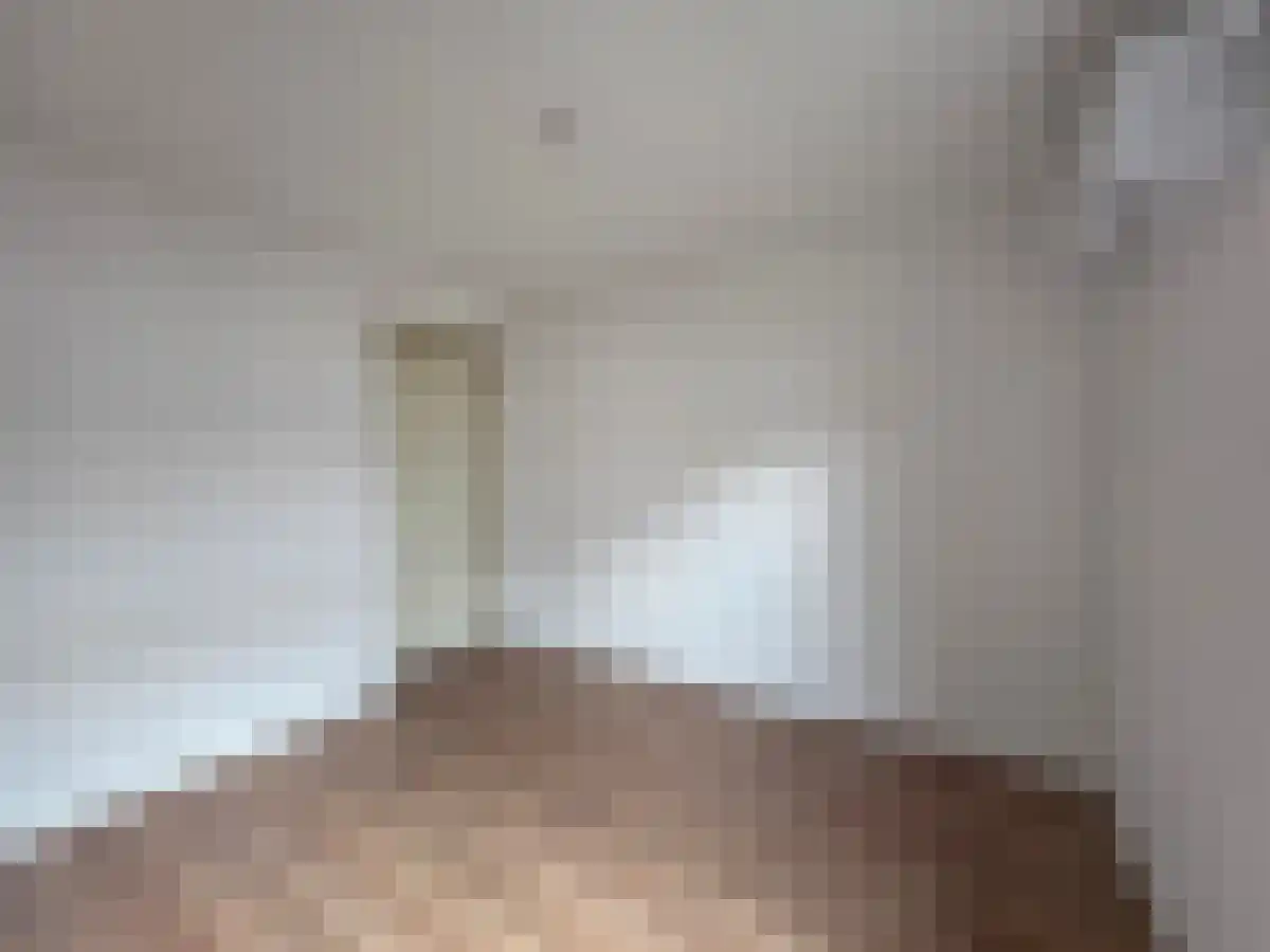 Abdijlaan 17 Uden thumbnail 6