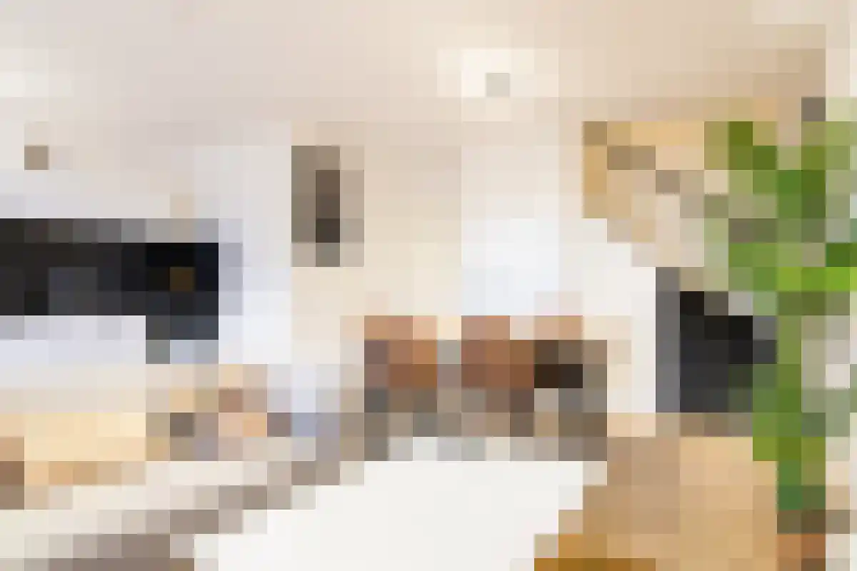 Abdijlaan 172 Uden thumbnail 6