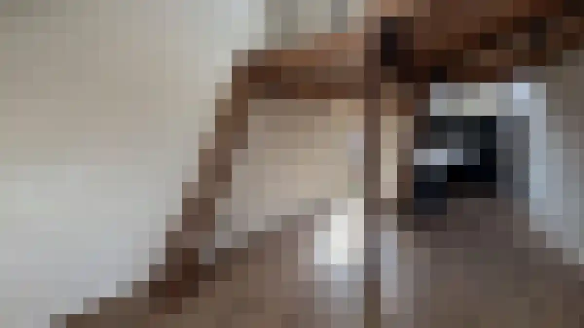 Abdijlaan 18 E Uden foto 2