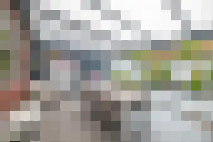 Abdijlaan 18 Helmond thumbnail 44