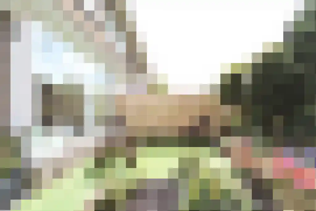 Abdijlaan 18 Uden thumbnail 4