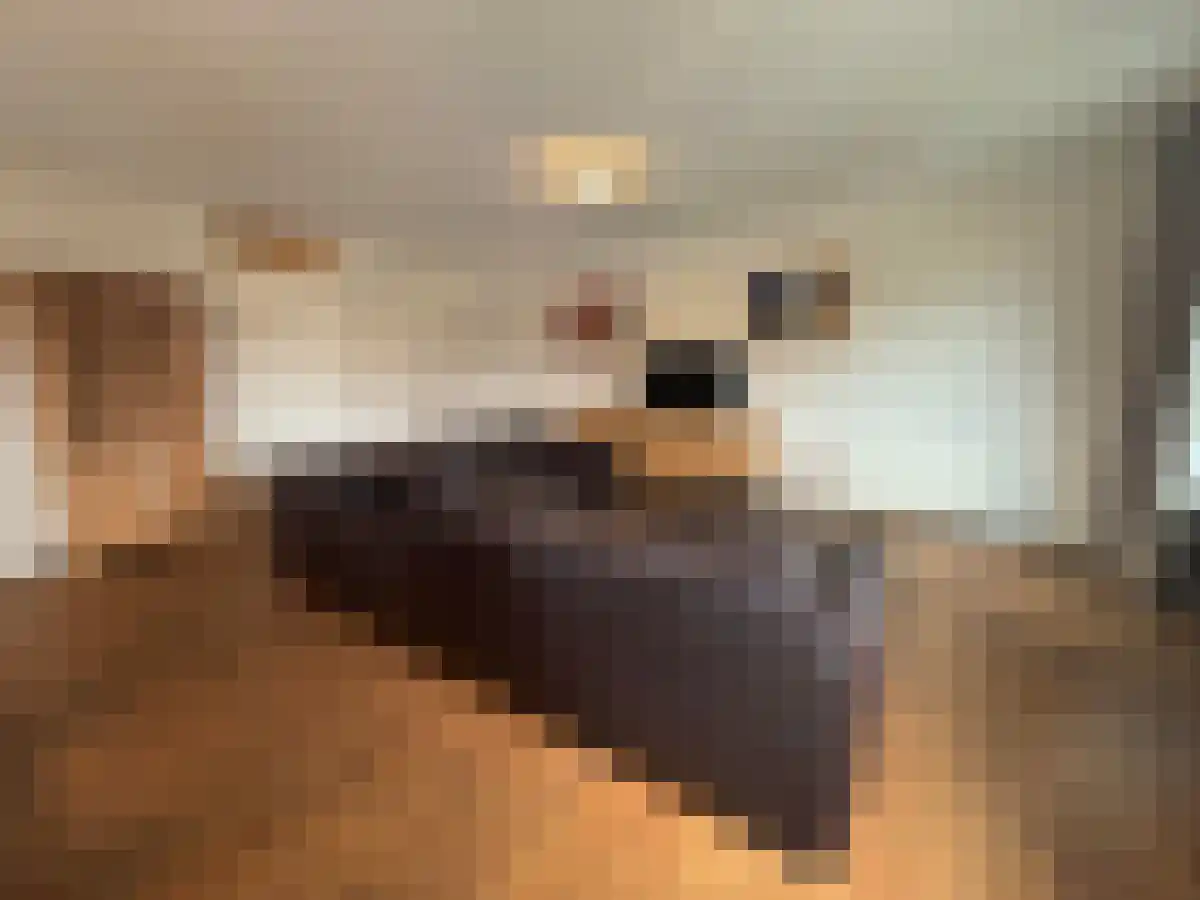 Abdijlaan 18 Uden thumbnail 4
