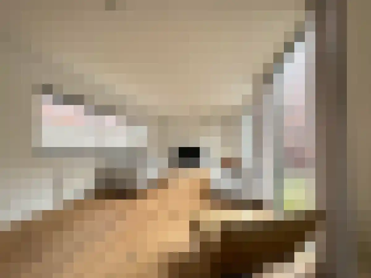 Abdijlaan 18 Uden thumbnail 4