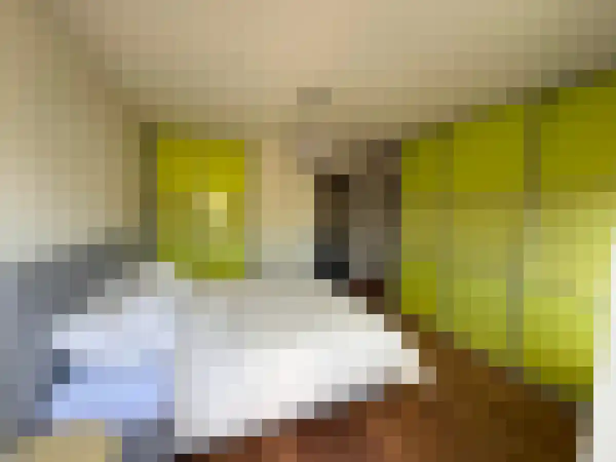 Abdijlaan 18 Uden thumbnail 4