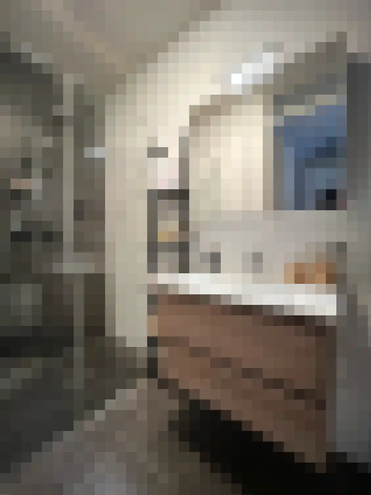 Abdijlaan 18 Uden thumbnail 4