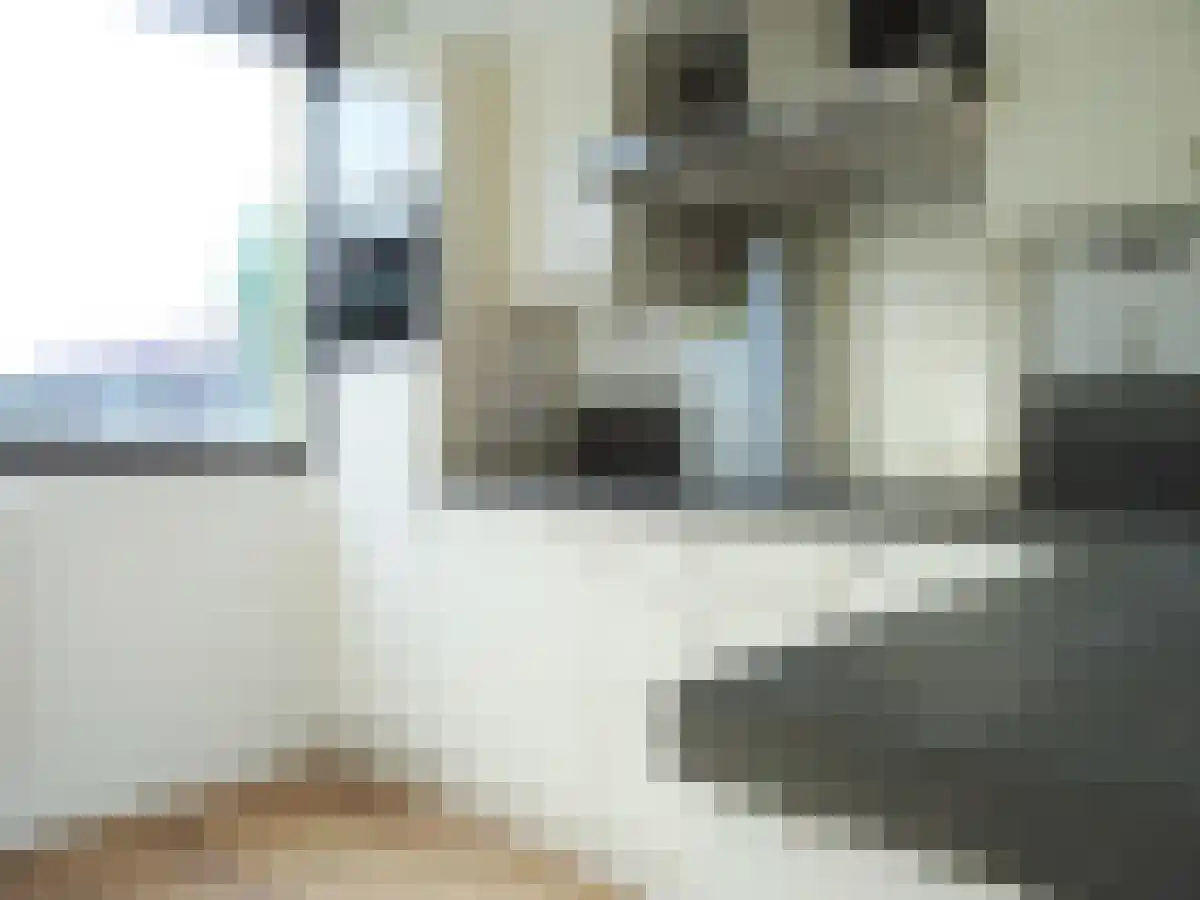 Abdijlaan 18 Uden thumbnail 5