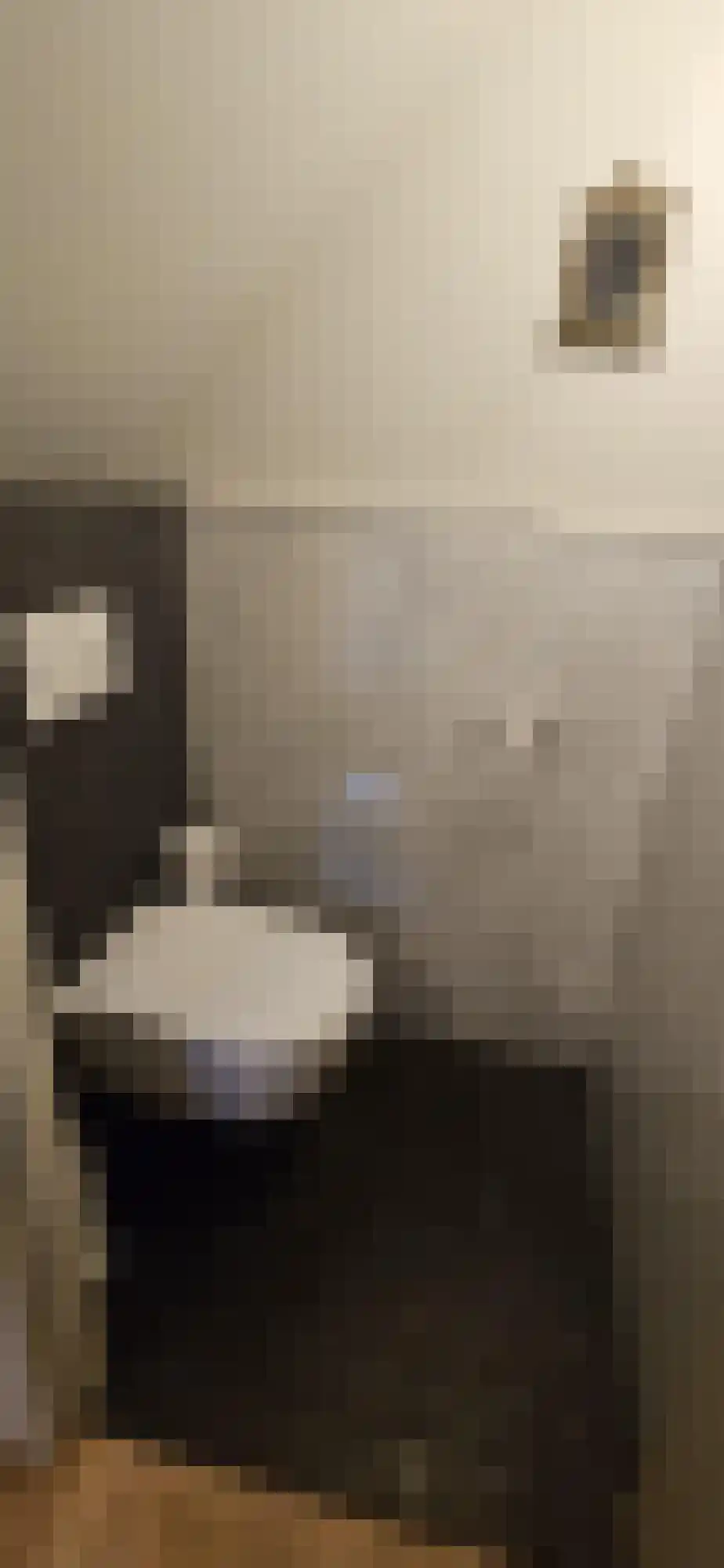 Abdijlaan 18 Uden thumbnail 5