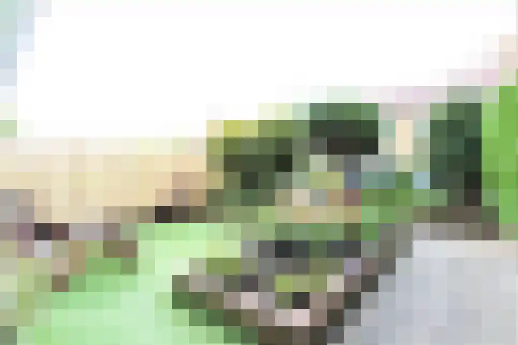Abdijlaan 18 Uden thumbnail 5