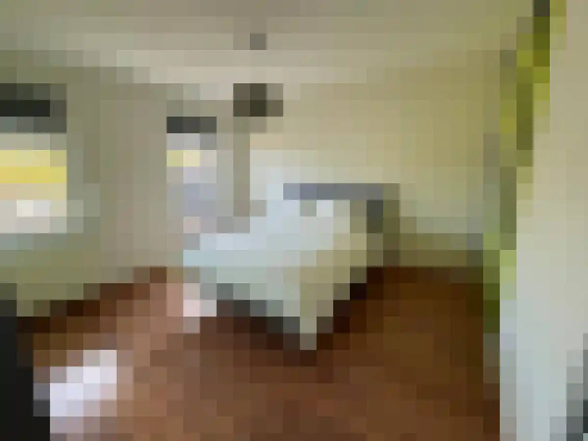 Abdijlaan 18 Uden thumbnail 5
