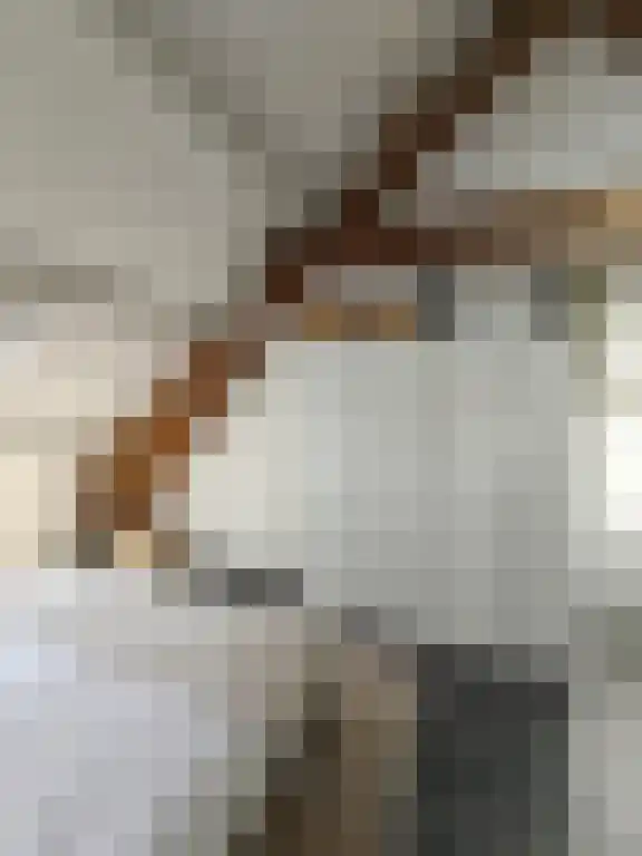 Abdijlaan 18 Uden thumbnail 6