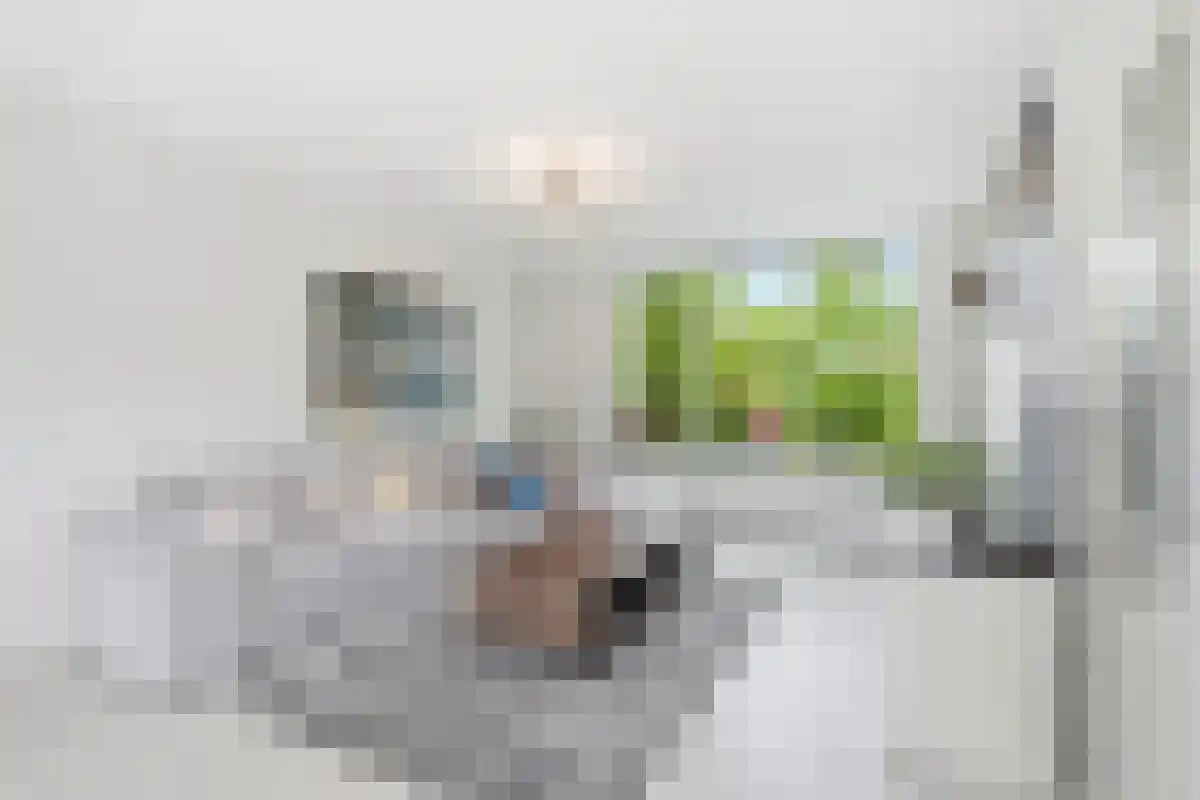 Abdijlaan 18214 Uden thumbnail 4