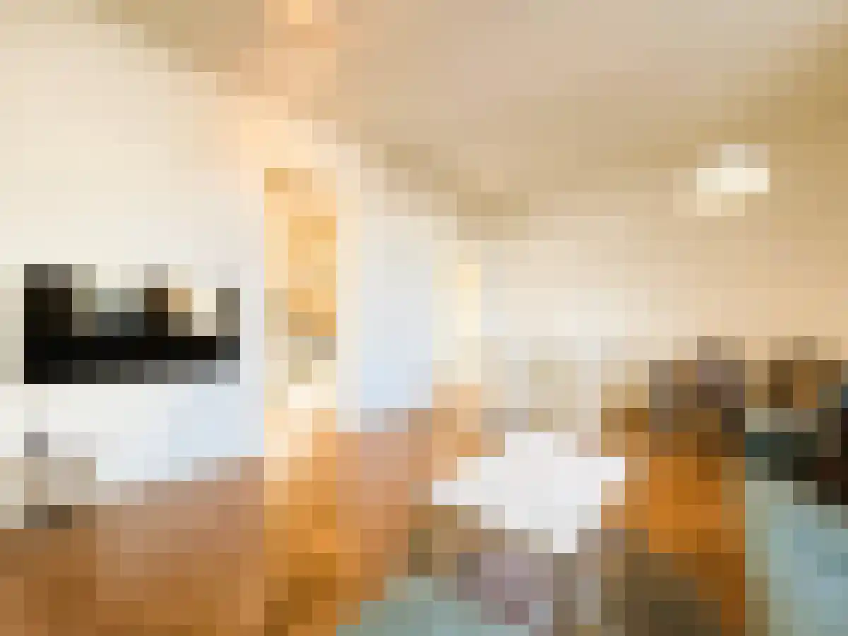Abdijlaan 183 Uden thumbnail 5