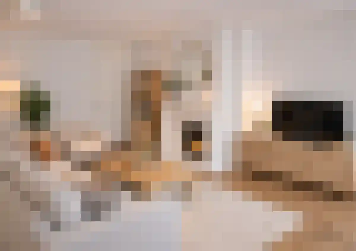 Abdijlaan 185 Uden thumbnail 5