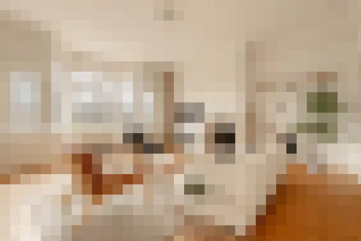 Abdijlaan 19 3 Uden thumbnail 4