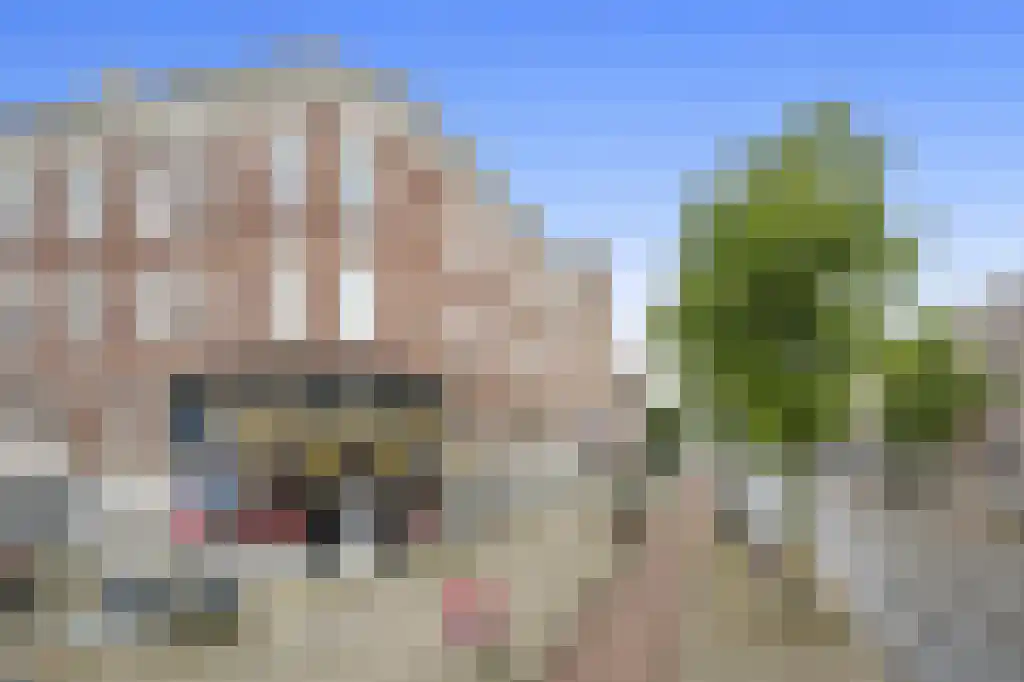 Abdijlaan 192 Uden foto 2