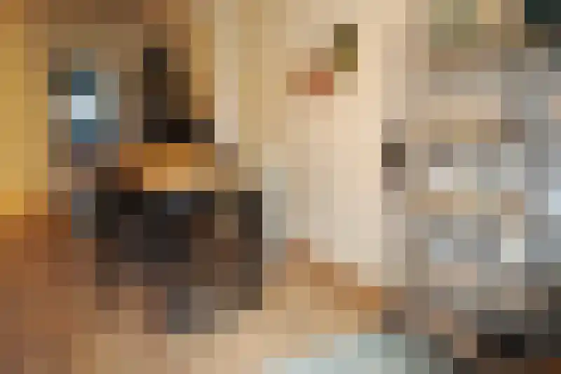 Abdijlaan 192 Uden thumbnail 5