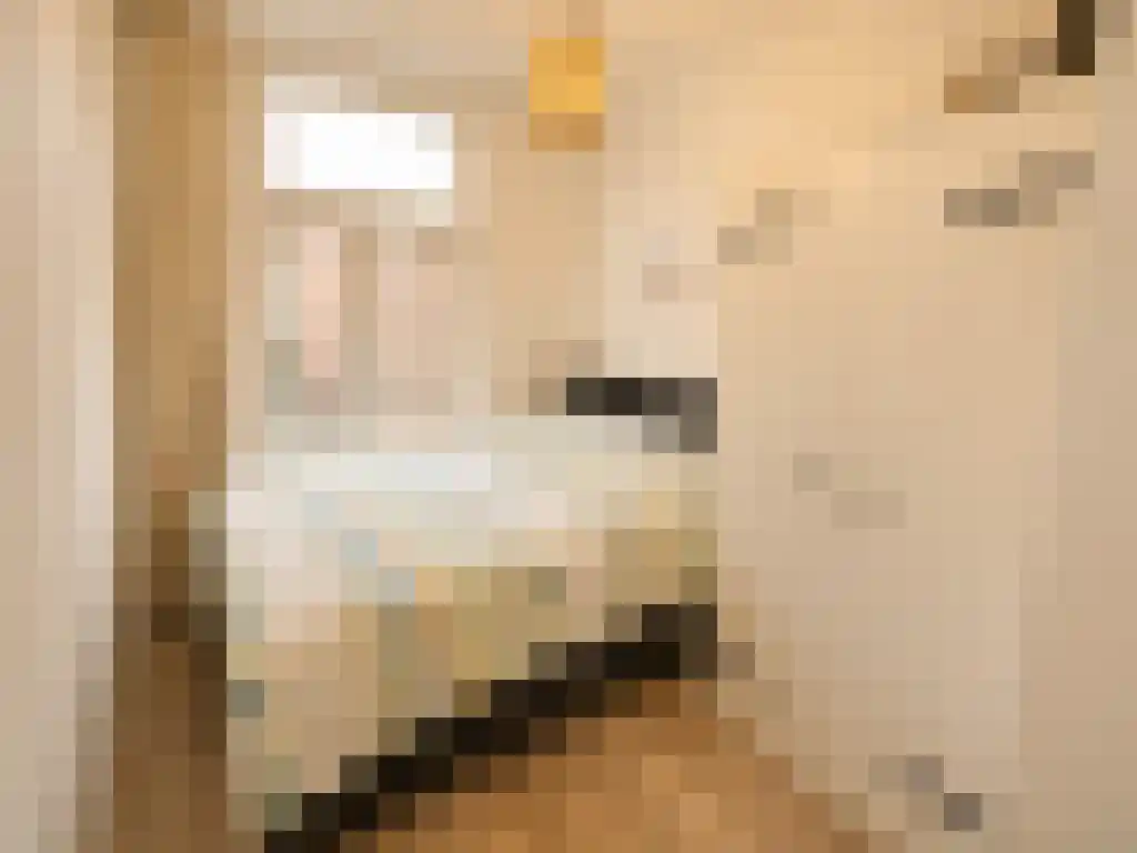 Abdijlaan 192 Uden thumbnail 5