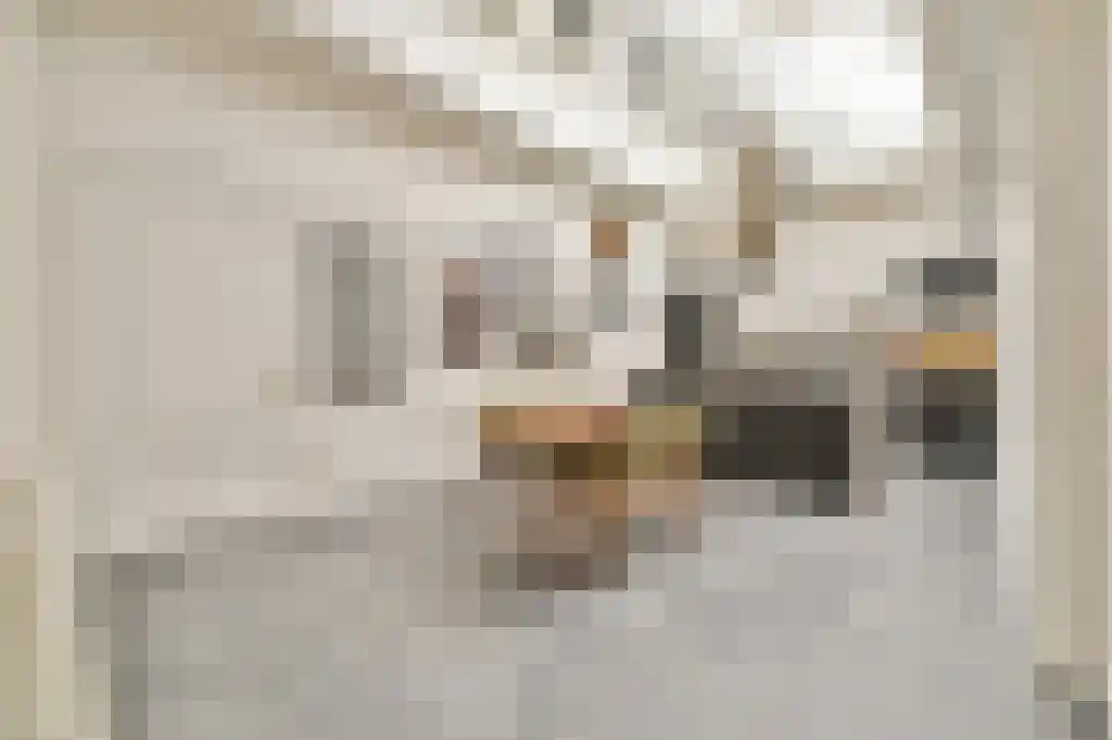 Abdijlaan 194 H Uden thumbnail 4