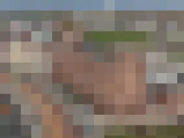 Abdijlaan 197 Uden thumbnail 22