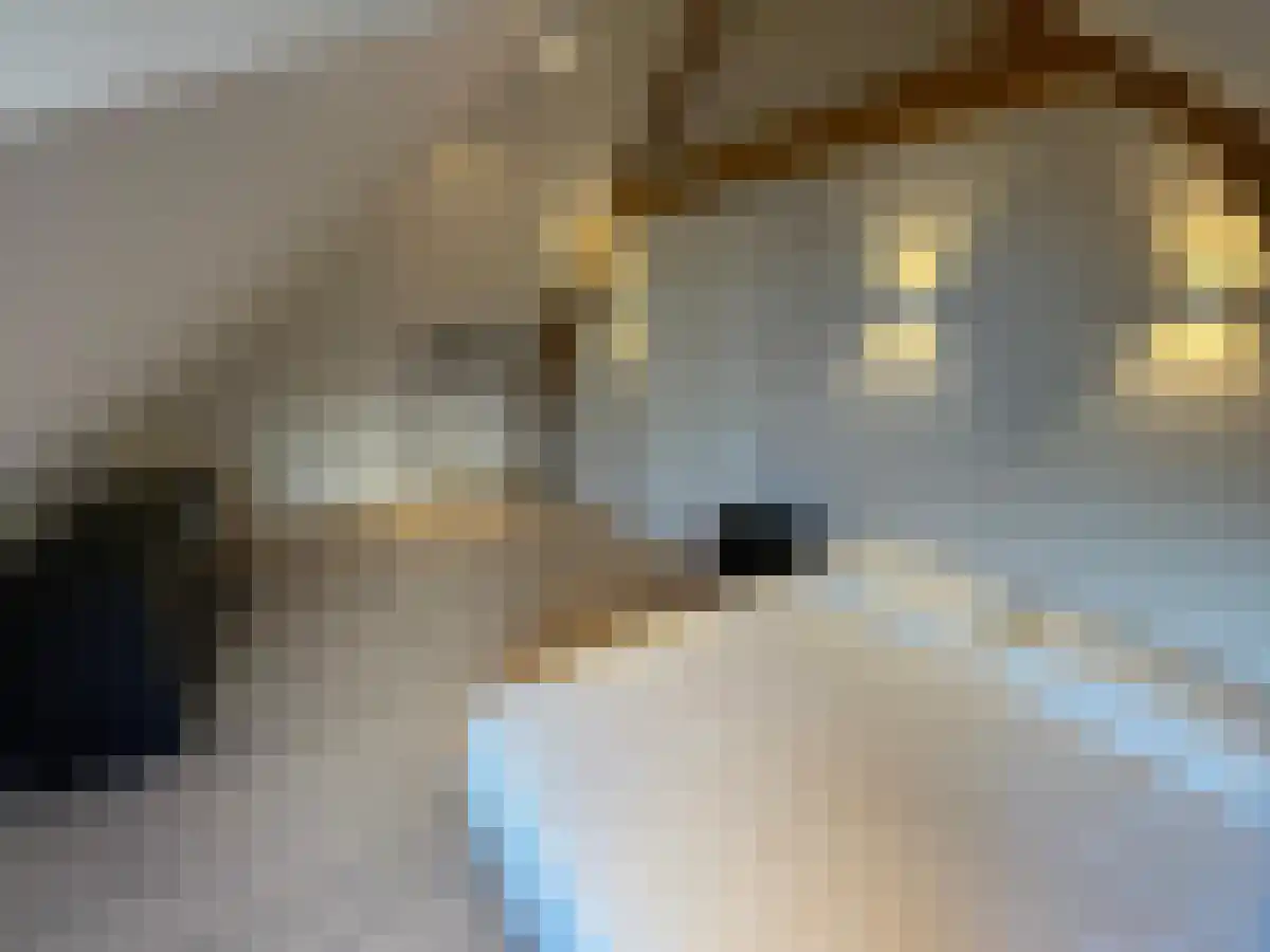 Abdijlaan 198 Uden thumbnail 4