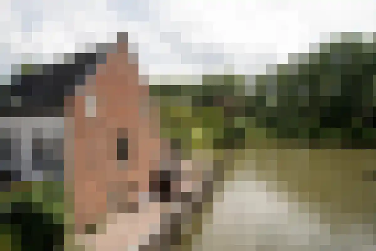 Abdijlaan 2 Uden