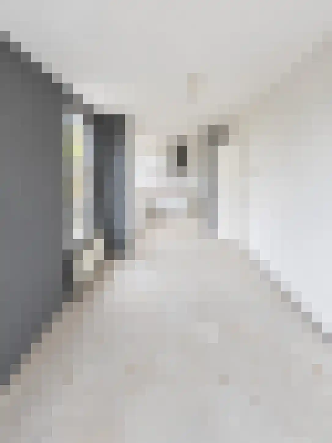 Abdijlaan 2 Uden foto 2