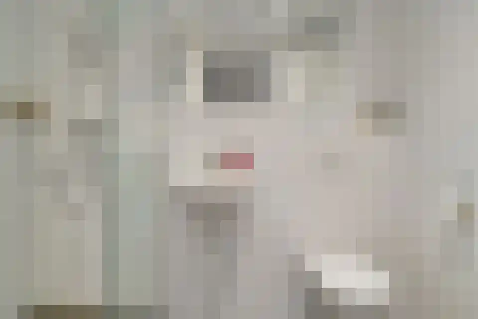 Abdijlaan 2 Uden thumbnail 4