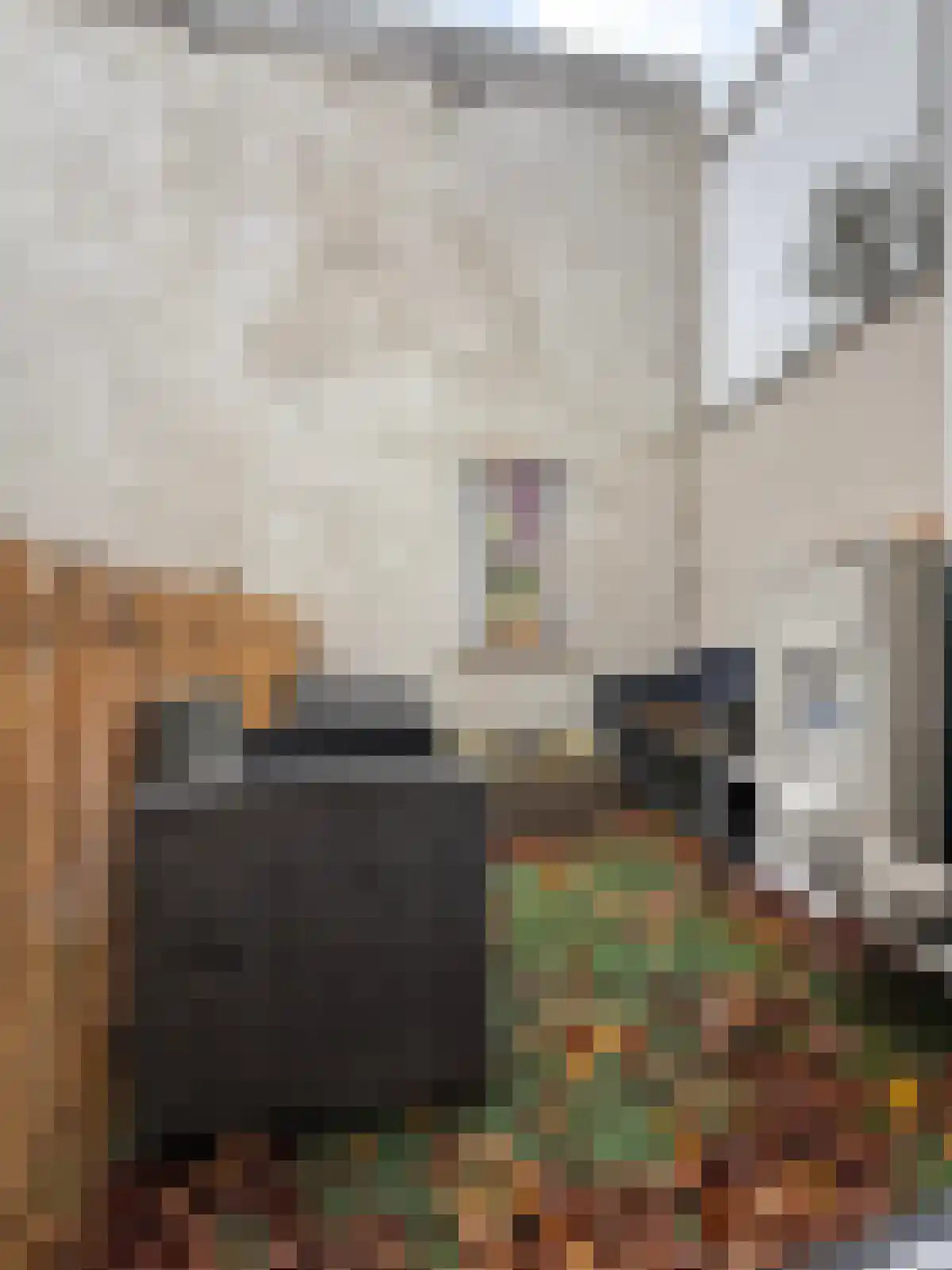 Abdijlaan 2 Uden thumbnail 6