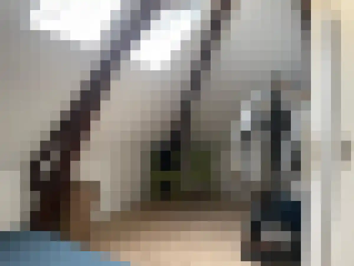 Abdijlaan 20 Uden thumbnail 4