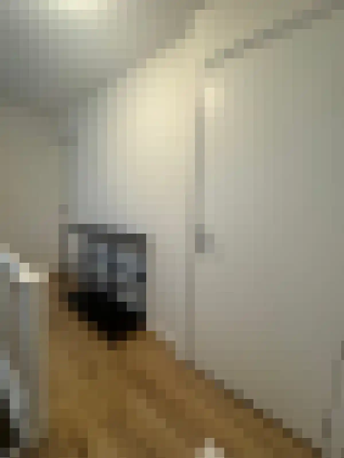 Abdijlaan 20 Uden thumbnail 4